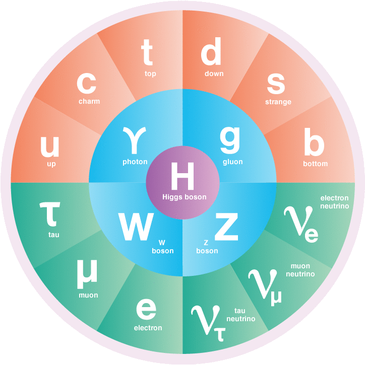 Elementary particles of the Standard Model