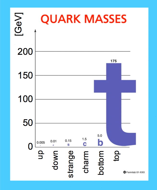Mass of each quark, the top quark being the heaviest